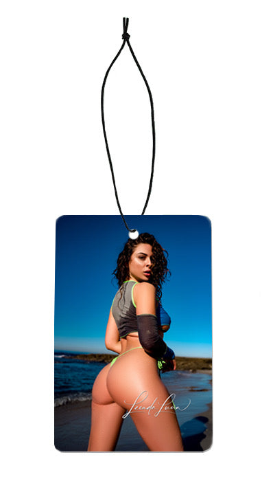 BEACH BUM CAR SCENT